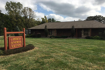 Holt Animal Clinic Exterior